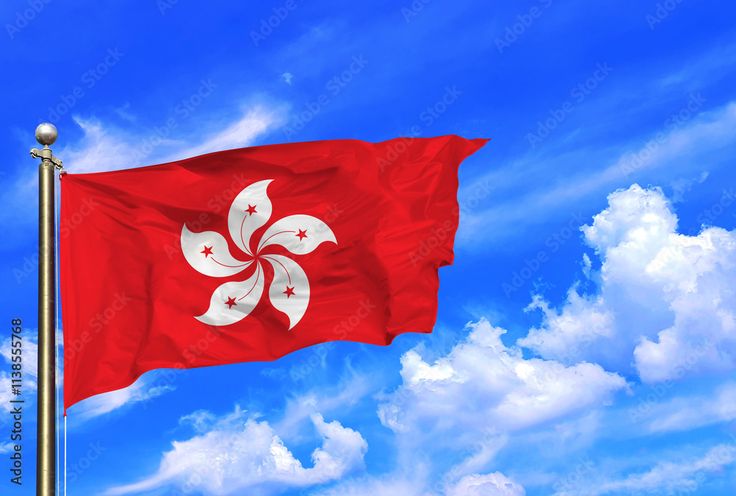 University of Hong Kong Summer Research Programme 2026 (Funded)